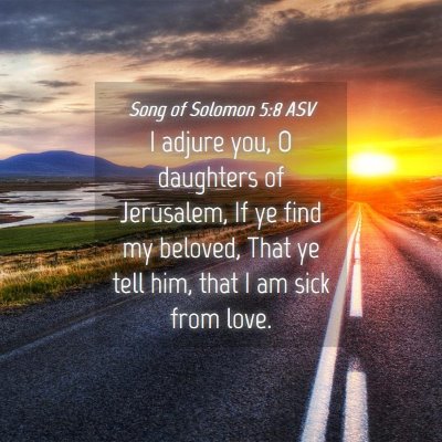 Picture 04 - Song of Solomon 5:8 ASV - I adjure you, O daughters of Jerusalem, If ye - Bible Verse Picture