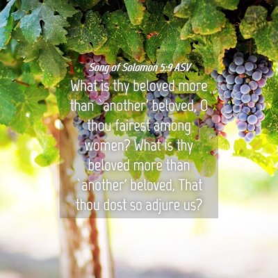 Picture 04 - Song of Solomon 5:9 ASV - What is thy beloved more than `another' beloved, - Bible Verse Picture