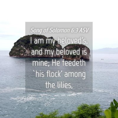 Picture 04 - Song of Solomon 6:3 ASV - I am my beloved's, and my beloved is mine; He - Bible Verse Picture