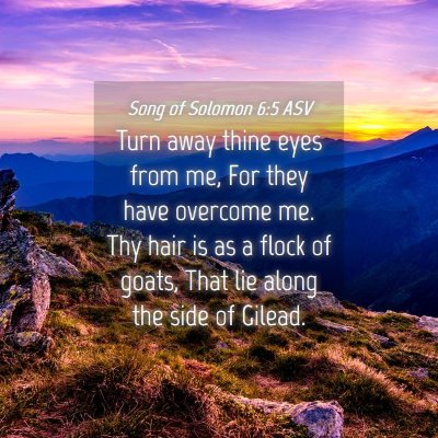 Picture 04 - Song of Solomon 6:5 ASV - Turn away thine eyes from me, For they have - Bible Verse Picture