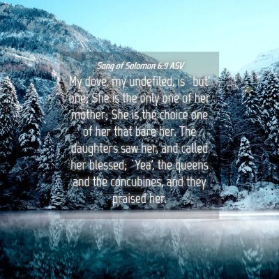 Picture 04 - Song of Solomon 6:9 ASV - My dove, my undefiled, is `but' one; She is the - Bible Verse Picture