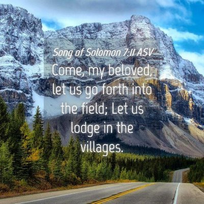 Picture 04 - Song of Solomon 7:11 ASV - Come, my beloved, let us go forth into the field; - Bible Verse Picture