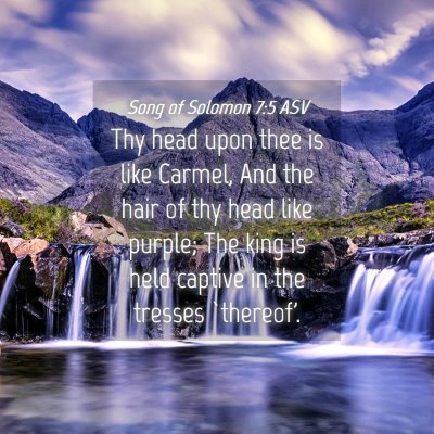 Picture 04 - Song of Solomon 7:5 ASV - Thy head upon thee is like Carmel, And the hair - Bible Verse Picture