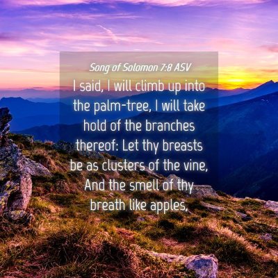 Picture 04 - Song of Solomon 7:8 ASV - I said, I will climb up into the palm-tree, I - Bible Verse Picture