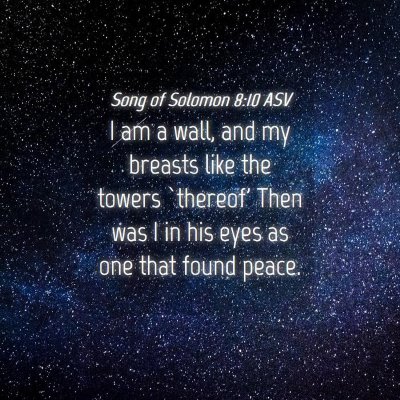 Picture 04 - Song of Solomon 8:10 ASV - I am a wall, and my breasts like the towers - Bible Verse Picture