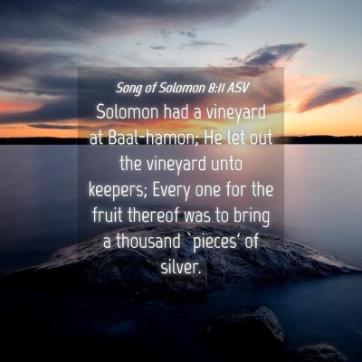 Picture 04 - Song of Solomon 8:11 ASV - Solomon had a vineyard at Baal-hamon; He let out - Bible Verse Picture