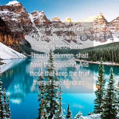 Picture 04 - Song of Solomon 8:12 ASV - My vineyard, which is mine, is before me: Thou, O - Bible Verse Picture