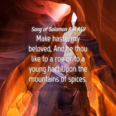 Picture 04 - Song of Solomon 8:14 ASV - Make haste, my beloved, And be thou like to a roe - Bible Verse Picture