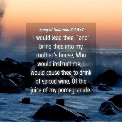 Picture 04 - Song of Solomon 8:2 ASV - I would lead thee, `and' bring thee into my - Bible Verse Picture