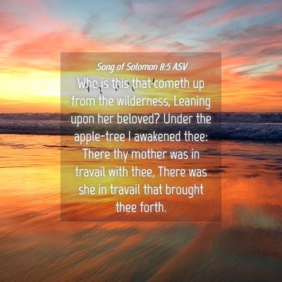 Picture 04 - Song of Solomon 8:5 ASV - Who is this that cometh up from the wilderness, - Bible Verse Picture