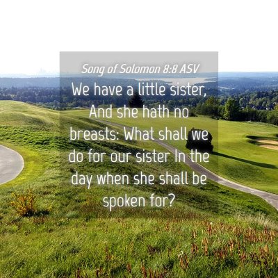 Picture 04 - Song of Solomon 8:8 ASV - We have a little sister, And she hath no breasts: - Bible Verse Picture