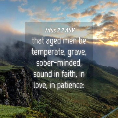 Picture 04 - Titus 2:2 ASV - that aged men be temperate, grave, sober-minded, - Bible Verse Picture