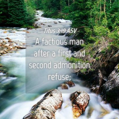 Picture 04 - Titus 3:10 ASV - A factious man after a first and second - Bible Verse Picture