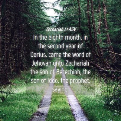 Picture 04 - Zechariah 1:1 ASV - In the eighth month, in the second year of - Bible Verse Picture