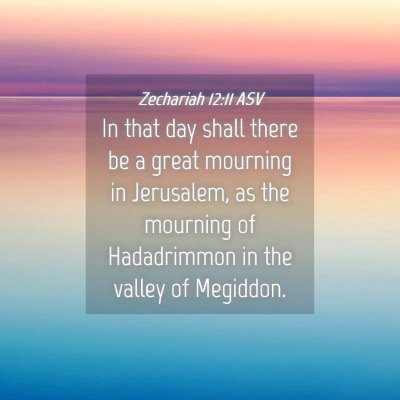 Picture 04 - Zechariah 12:11 ASV - In that day shall there be a great mourning in - Bible Verse Picture