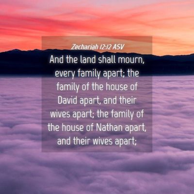Picture 04 - Zechariah 12:12 ASV - And the land shall mourn, every family apart; the - Bible Verse Picture