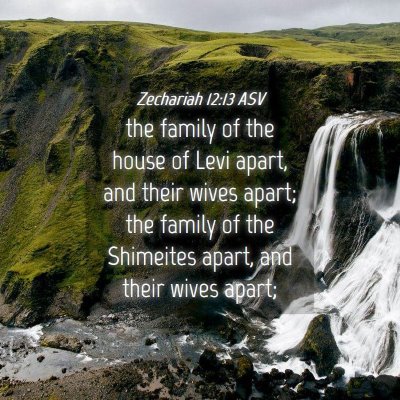 Picture 04 - Zechariah 12:13 ASV - the family of the house of Levi apart, and their - Bible Verse Picture