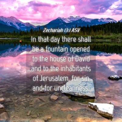 Picture 04 - Zechariah 13:1 ASV - In that day there shall be a fountain opened to - Bible Verse Picture