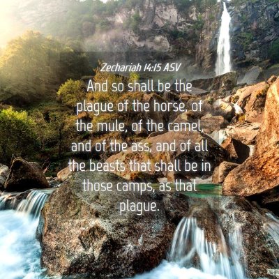 Picture 04 - Zechariah 14:15 ASV - And so shall be the plague of the horse, of the - Bible Verse Picture