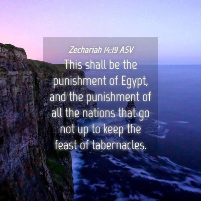 Picture 04 - Zechariah 14:19 ASV - This shall be the punishment of Egypt, and the - Bible Verse Picture