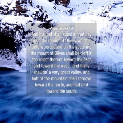 Picture 04 - Zechariah 14:4 ASV - And his feet shall stand in that day upon the - Bible Verse Picture