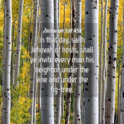 Picture 04 - Zechariah 3:10 ASV - In that day, saith Jehovah of hosts, shall ye - Bible Verse Picture