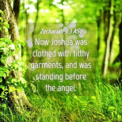 Picture 04 - Zechariah 3:3 ASV - Now Joshua was clothed with filthy garments, and - Bible Verse Picture