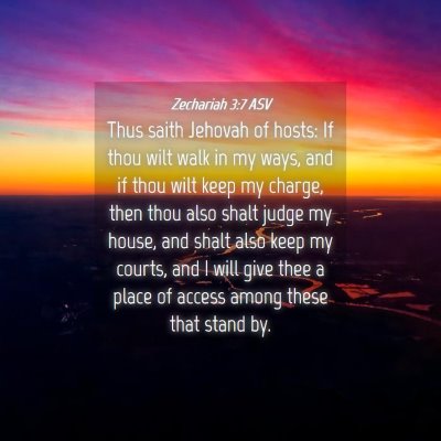 Picture 04 - Zechariah 3:7 ASV - Thus saith Jehovah of hosts: If thou wilt walk in - Bible Verse Picture