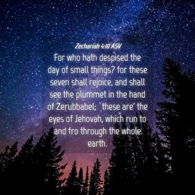 Picture 04 - Zechariah 4:10 ASV - For who hath despised the day of small things? - Bible Verse Picture