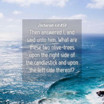 Picture 04 - Zechariah 4:11 ASV - Then answered I, and said unto him, What are - Bible Verse Picture