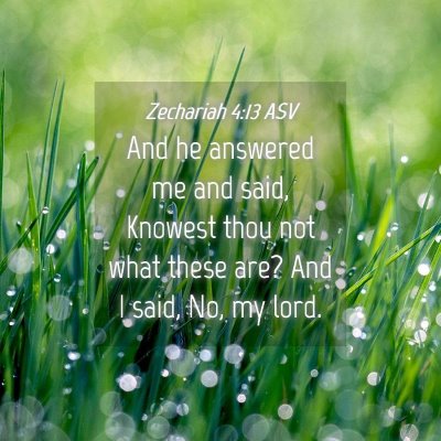 Picture 04 - Zechariah 4:13 ASV - And he answered me and said, Knowest thou not - Bible Verse Picture