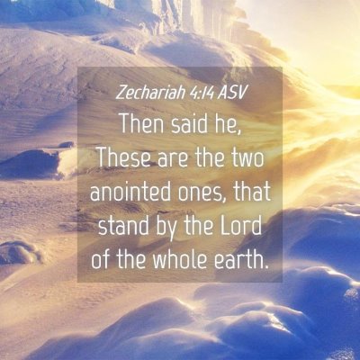 Picture 04 - Zechariah 4:14 ASV - Then said he, These are the two anointed ones, - Bible Verse Picture