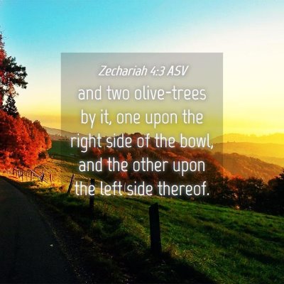 Picture 04 - Zechariah 4:3 ASV - and two olive-trees by it, one upon the right - Bible Verse Picture