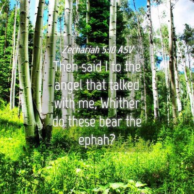 Picture 04 - Zechariah 5:10 ASV - Then said I to the angel that talked with me, - Bible Verse Picture