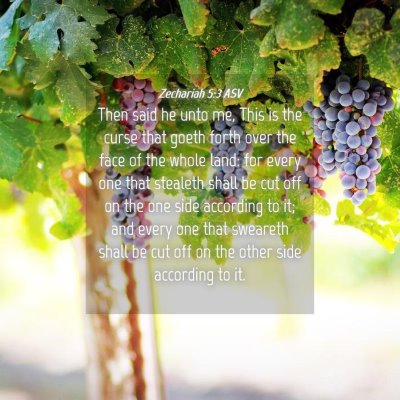 Picture 04 - Zechariah 5:3 ASV - Then said he unto me, This is the curse that - Bible Verse Picture