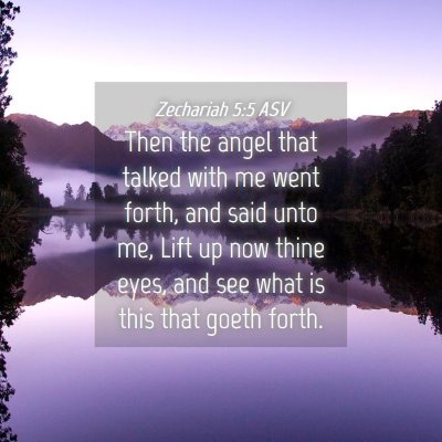 Picture 04 - Zechariah 5:5 ASV - Then the angel that talked with me went forth, - Bible Verse Picture