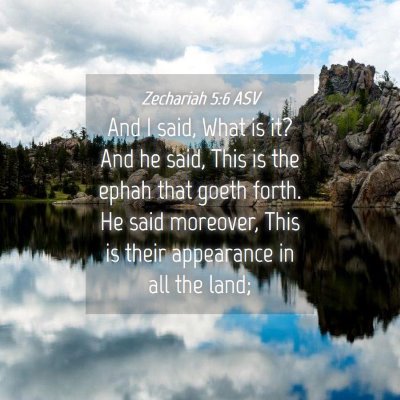 Picture 04 - Zechariah 5:6 ASV - And I said, What is it? And he said, This is the - Bible Verse Picture