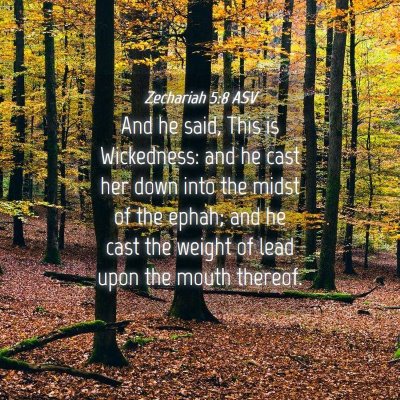 Picture 04 - Zechariah 5:8 ASV - And he said, This is Wickedness: and he cast her - Bible Verse Picture