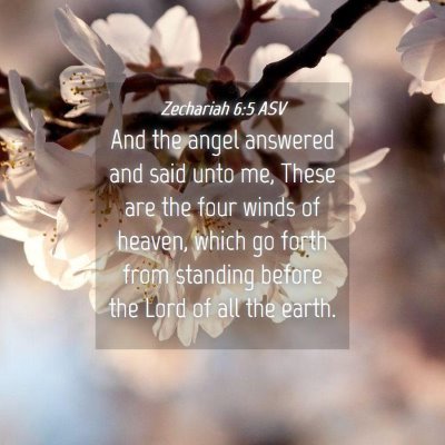 Picture 04 - Zechariah 6:5 ASV - And the angel answered and said unto me, These - Bible Verse Picture