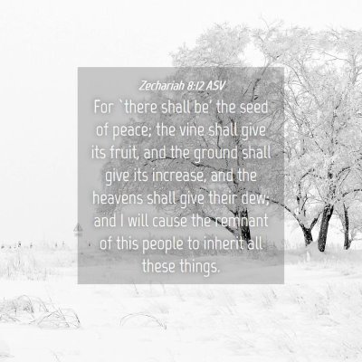 Picture 04 - Zechariah 8:12 ASV - For `there shall be' the seed of peace; the vine - Bible Verse Picture