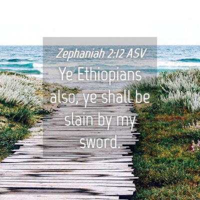 Picture 04 - Zephaniah 2:12 ASV - Ye Ethiopians also, ye shall be slain by my - Bible Verse Picture