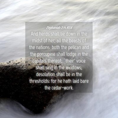 Picture 04 - Zephaniah 2:14 ASV - And herds shall lie down in the midst of her, all - Bible Verse Picture