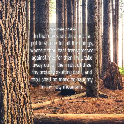 Picture 04 - Zephaniah 3:11 ASV - In that day shalt thou not be put to shame for - Bible Verse Picture