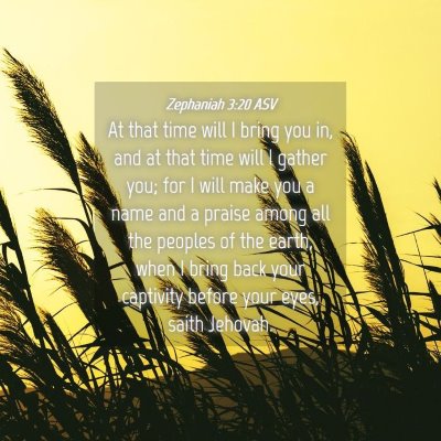 Picture 04 - Zephaniah 3:20 ASV - At that time will I bring you in, and at that - Bible Verse Picture