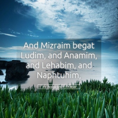 Picture 05 - 1 Chronicles 1:11 ASV - And Mizraim begat Ludim, and Anamim, and Lehabim, - Bible Verse Picture