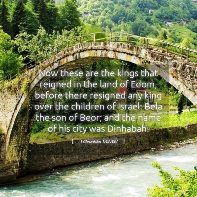 Picture 05 - 1 Chronicles 1:43 ASV - Now these are the kings that reigned in the land - Bible Verse Picture
