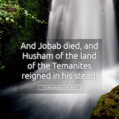 Picture 05 - 1 Chronicles 1:45 ASV - And Jobab died, and Husham of the land of the - Bible Verse Picture