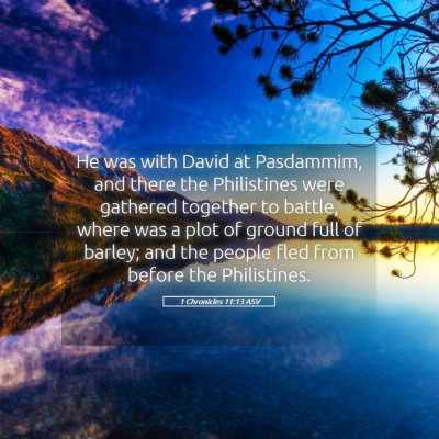 Picture 05 - 1 Chronicles 11:13 ASV - He was with David at Pasdammim, and there the - Bible Verse Picture