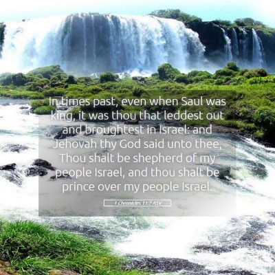 Picture 05 - 1 Chronicles 11:2 ASV - In times past, even when Saul was king, it was - Bible Verse Picture