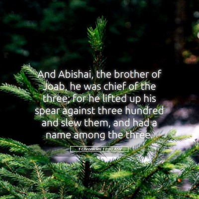 Picture 05 - 1 Chronicles 11:20 ASV - And Abishai, the brother of Joab, he was chief of - Bible Verse Picture